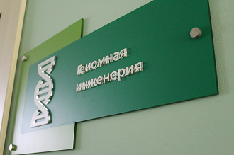 ВНУТРЕННЕЕ ОФОРМЛЕНИЕ